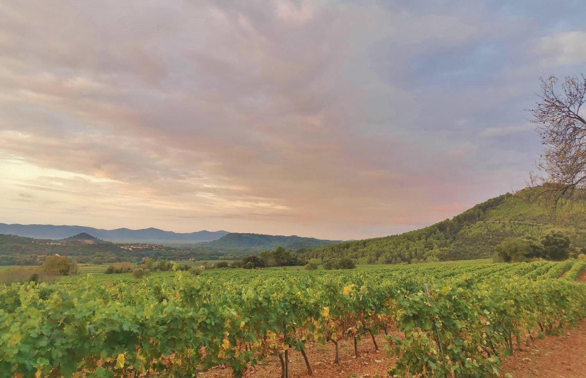 Le Nid En Chante Vue Panoramique Les Arcs-sur-Argens Exterior photo