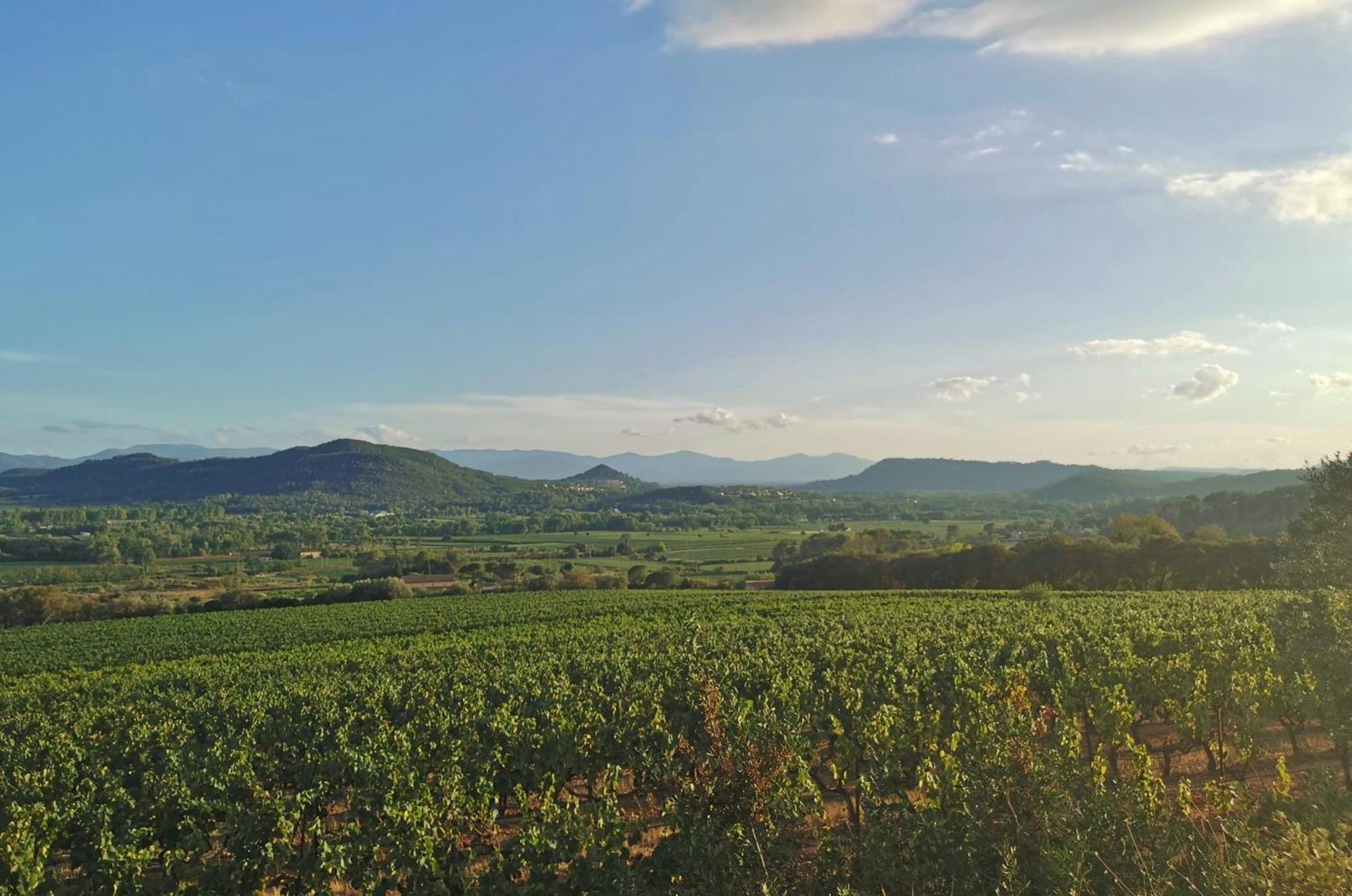 Le Nid En Chante Vue Panoramique Les Arcs-sur-Argens Exterior photo